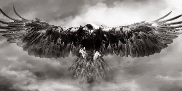 drkalyoncuoglu's profile banner image