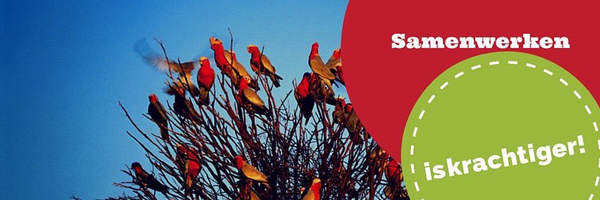 Passie Netwerk banner