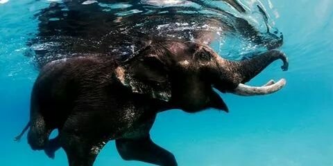 mende_rios's profile banner image