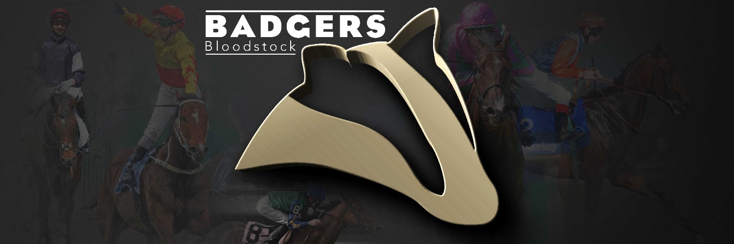 Badgers Bloodstock banner