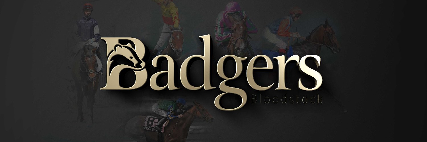 badgersbs's profile banner image