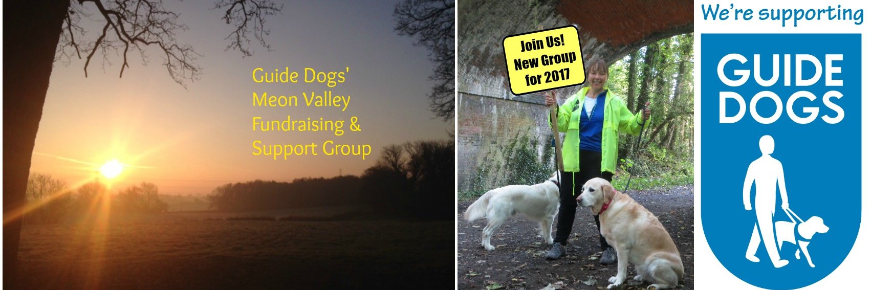 guidedogsmeon's profile banner image