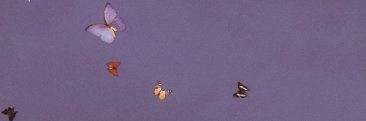 lllamanes's profile banner image