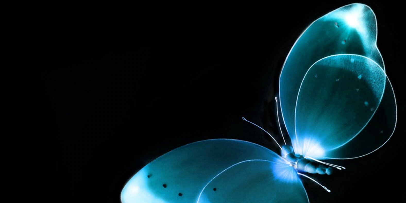 melissachaves07's profile banner image