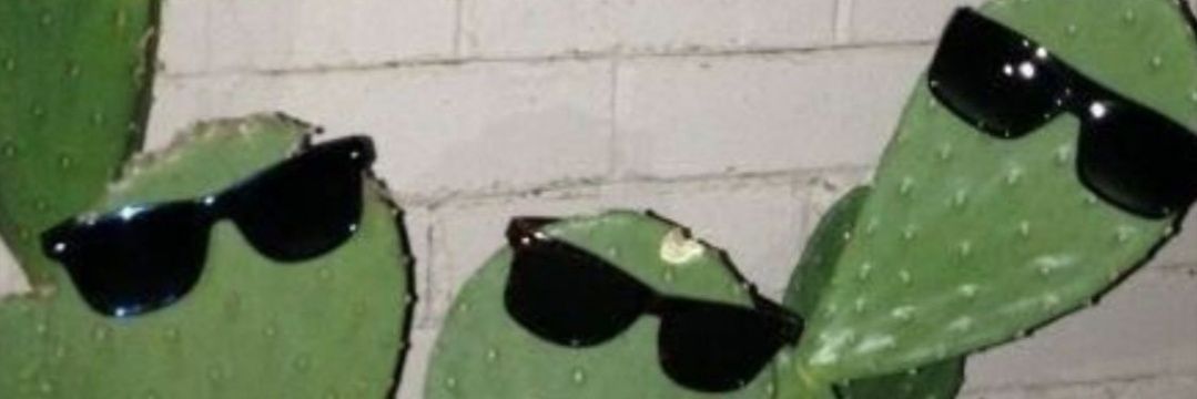 buturajac's profile banner image