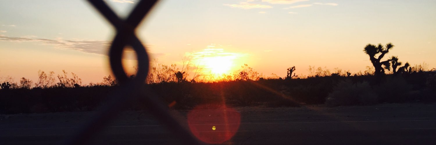 IrisGrey3's profile banner image