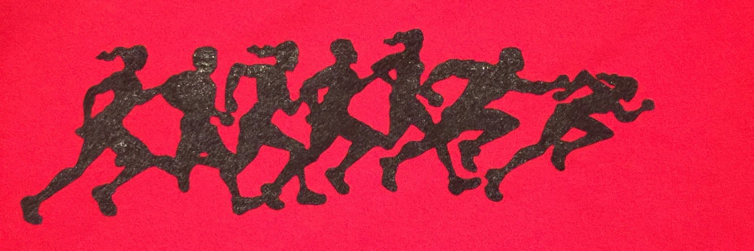 DHS-Lady Vikes Track banner