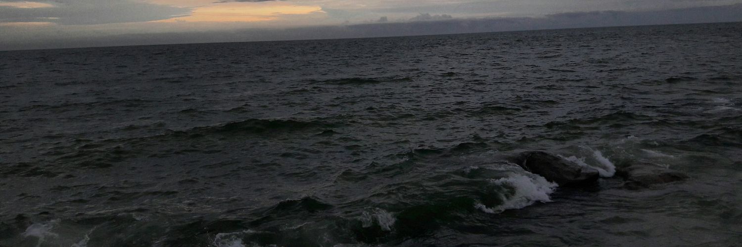 Piamarichalok's profile banner image