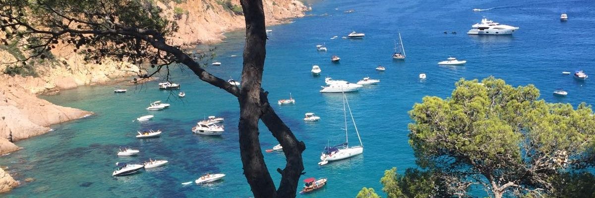 Dolors Castilla banner