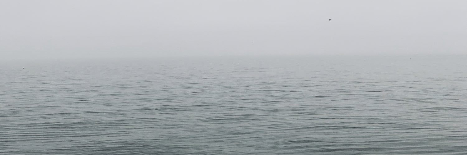 JulzDunne's profile banner image