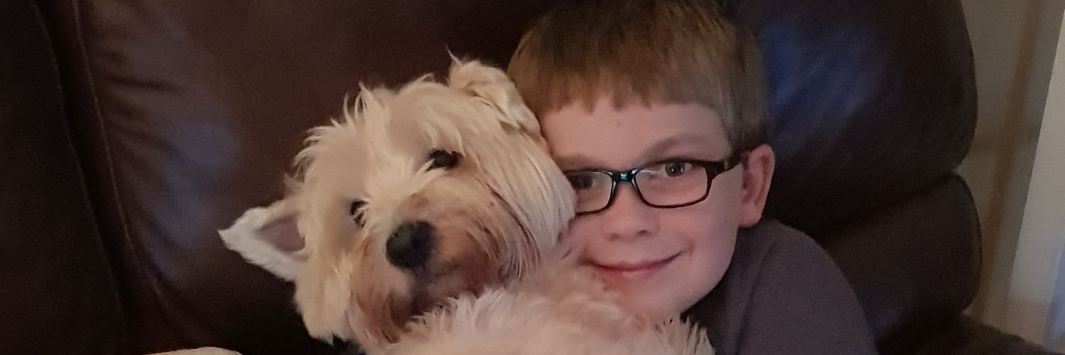 fjwhow's profile banner image