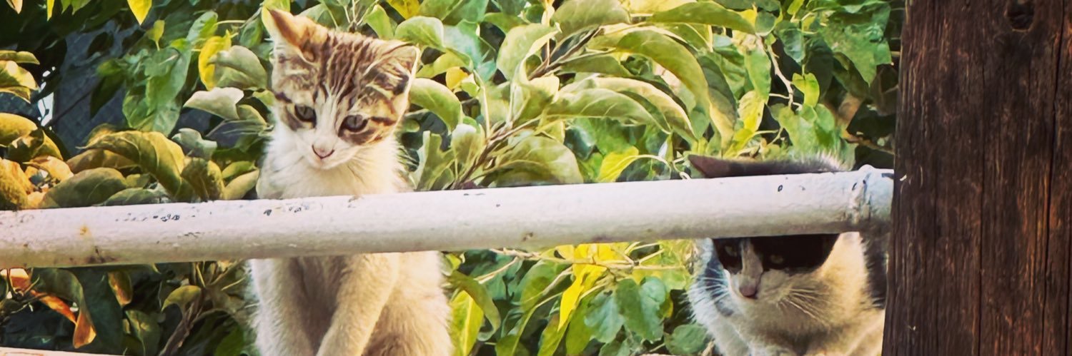 🇮🇷 𐰅𐰎𐰽𐰀𐰣 🇮🇷 banner