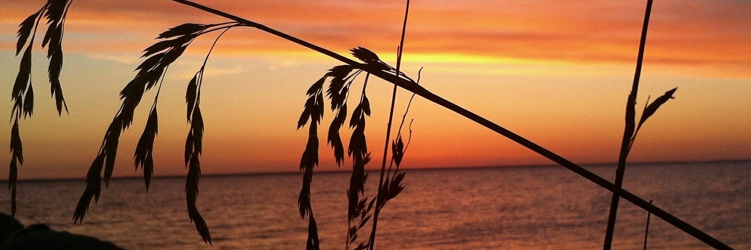 Beellllllaaa98's profile banner image