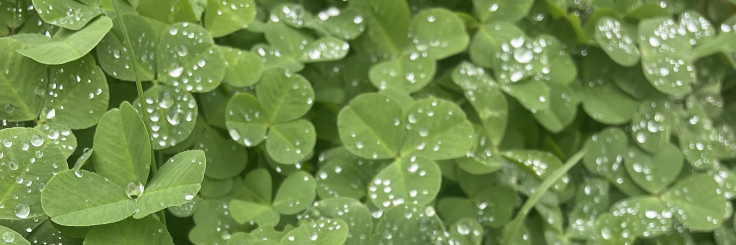 Erin2me11's profile banner image