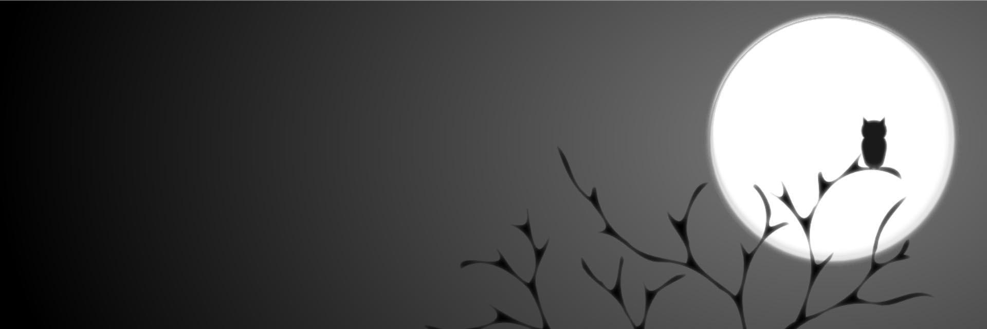 BlueOwlBot's profile banner image
