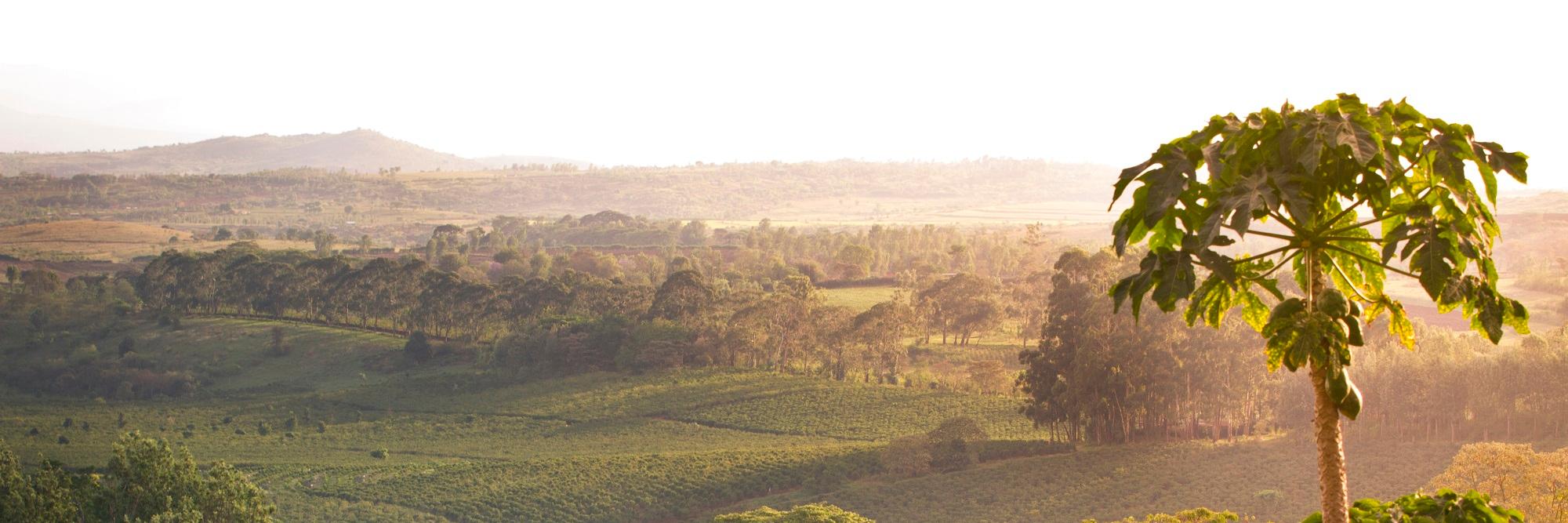 GibbsFarm_'s profile banner image