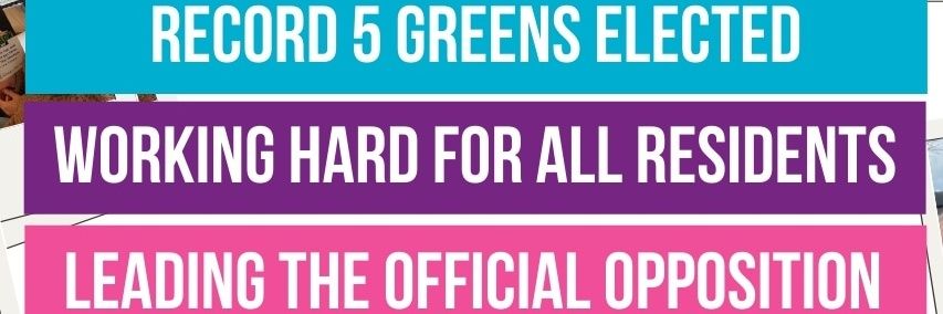 Richmond & Twickenham Green Party banner