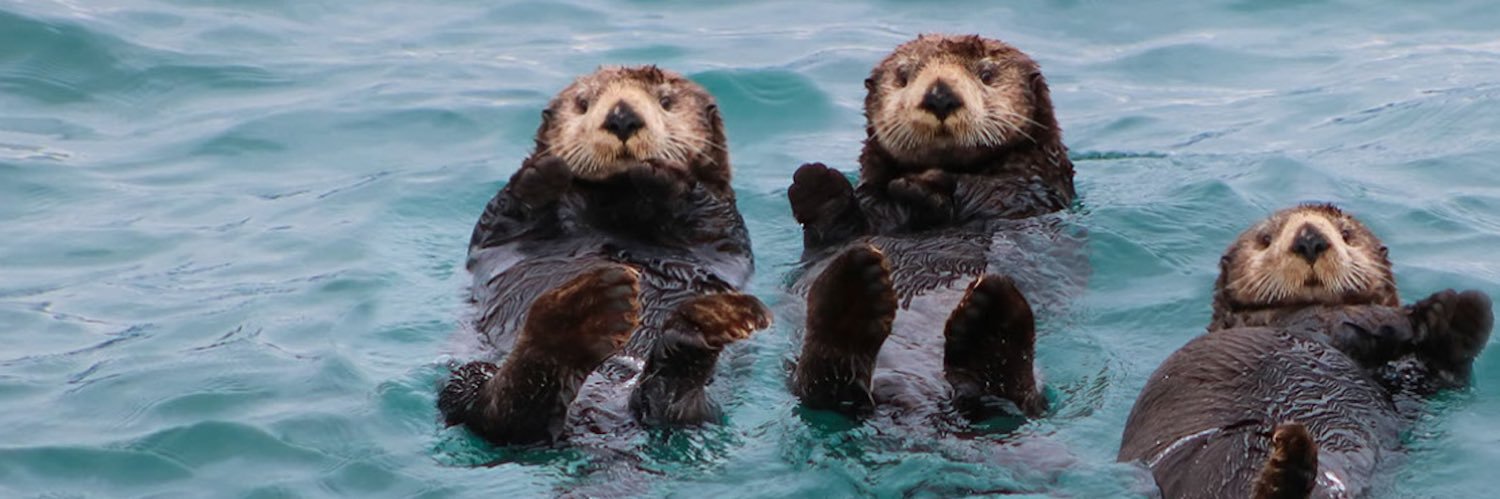 Nutria 841 🦦🍃 banner