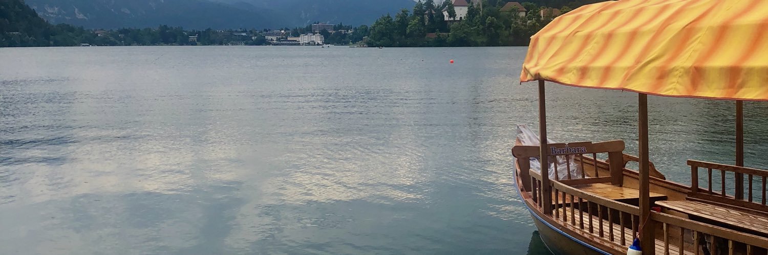 vickyaplin's profile banner image