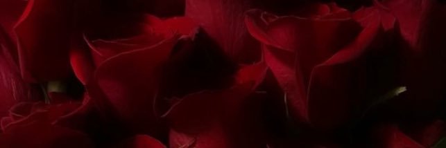 Alexic_c's profile banner image