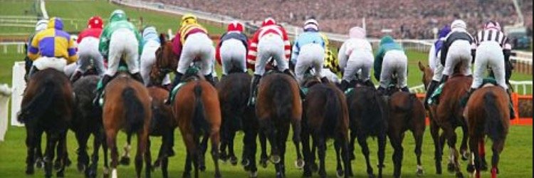 JumpsRacingTips's profile banner image