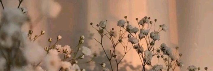 _AnaArevalo's profile banner image