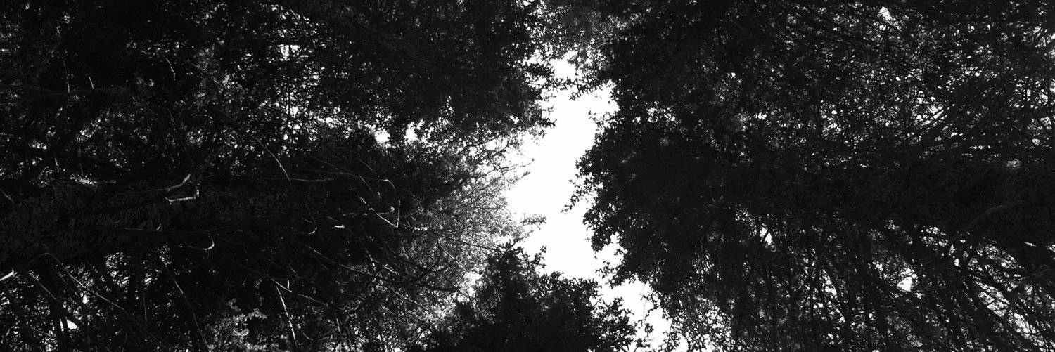 AaronMPatterson's profile banner image
