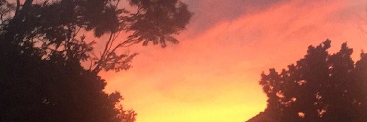 Lacey_Schmidt's profile banner image