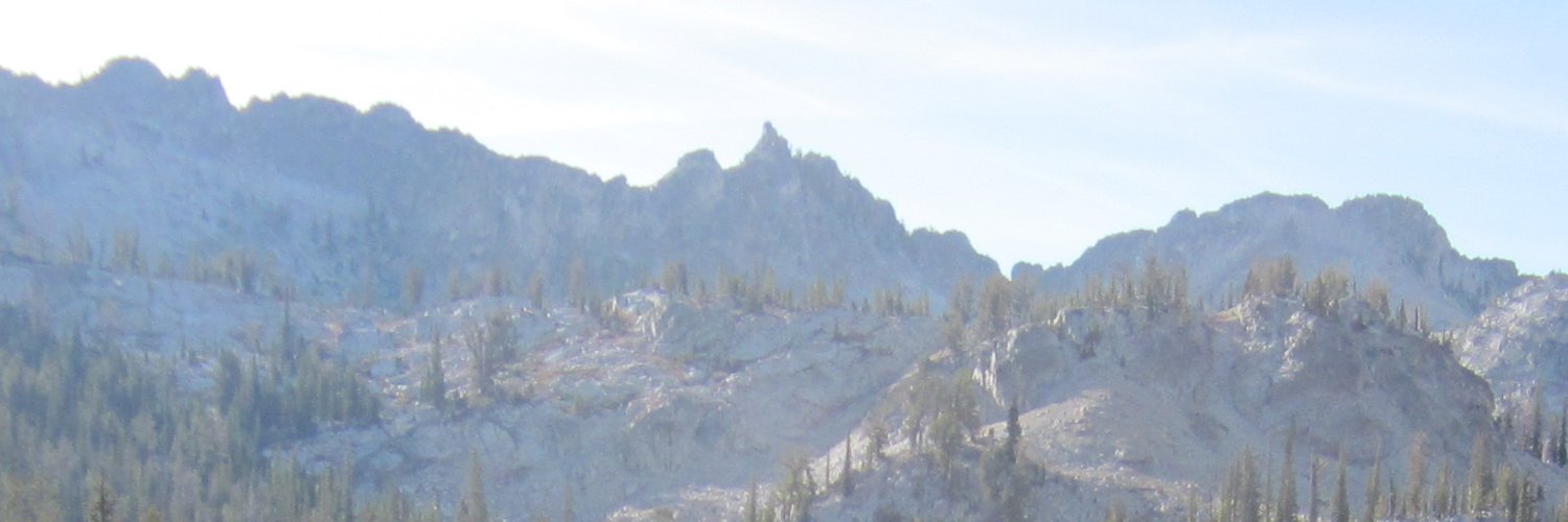 JanePavekID's profile banner image