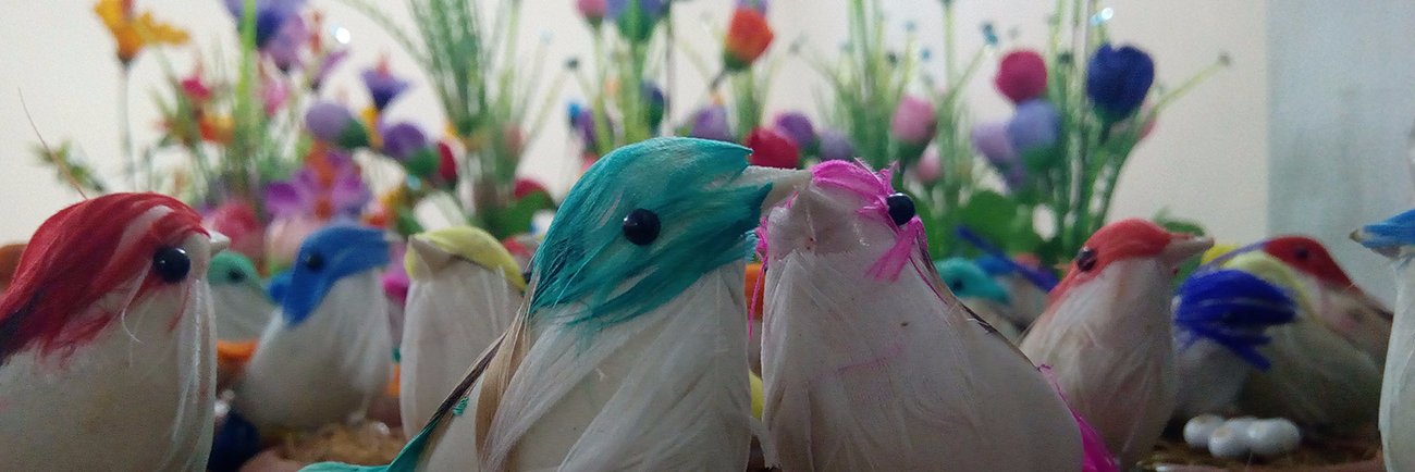 senthilchn's profile banner image