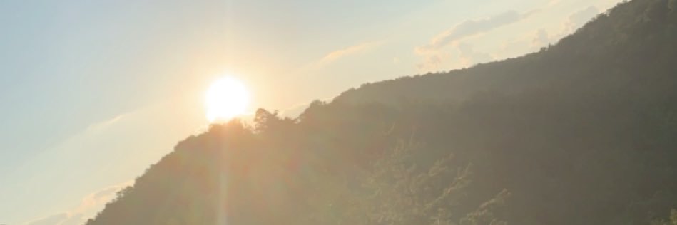 Natasha Croom banner