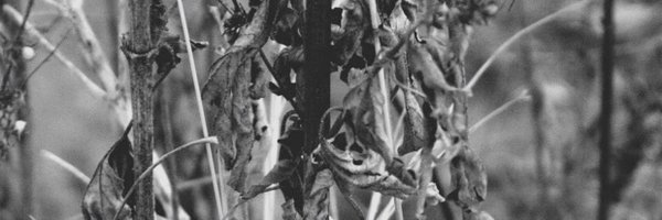 murphy_keaton Profile Banner