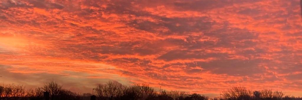 Rachael Perryman banner