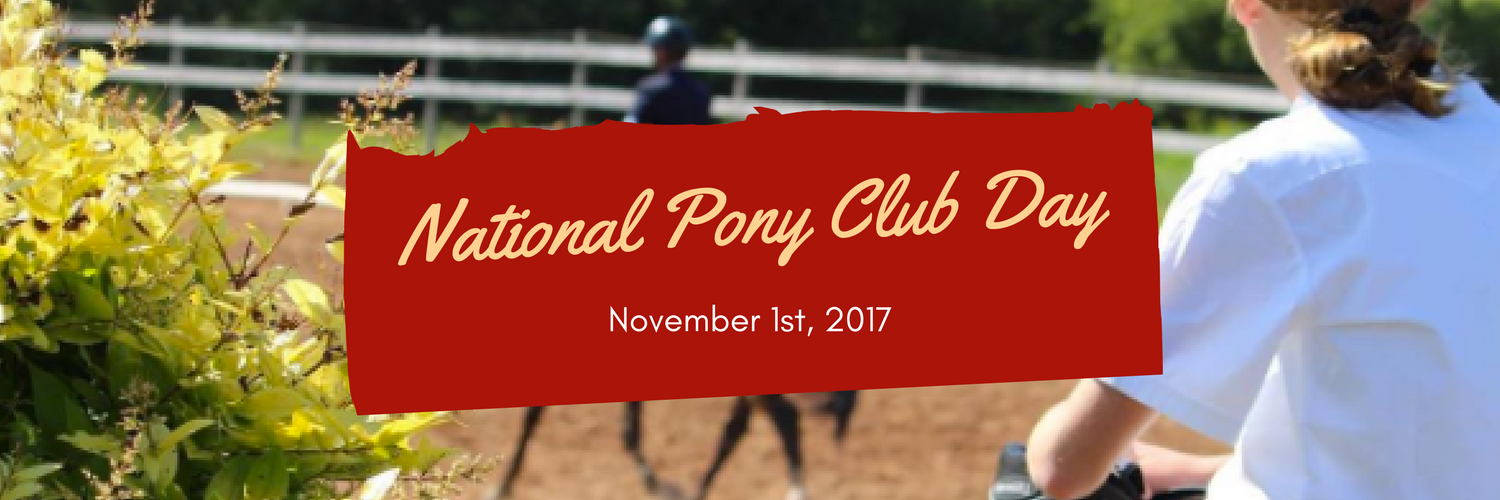 CdnPonyClub's profile banner image