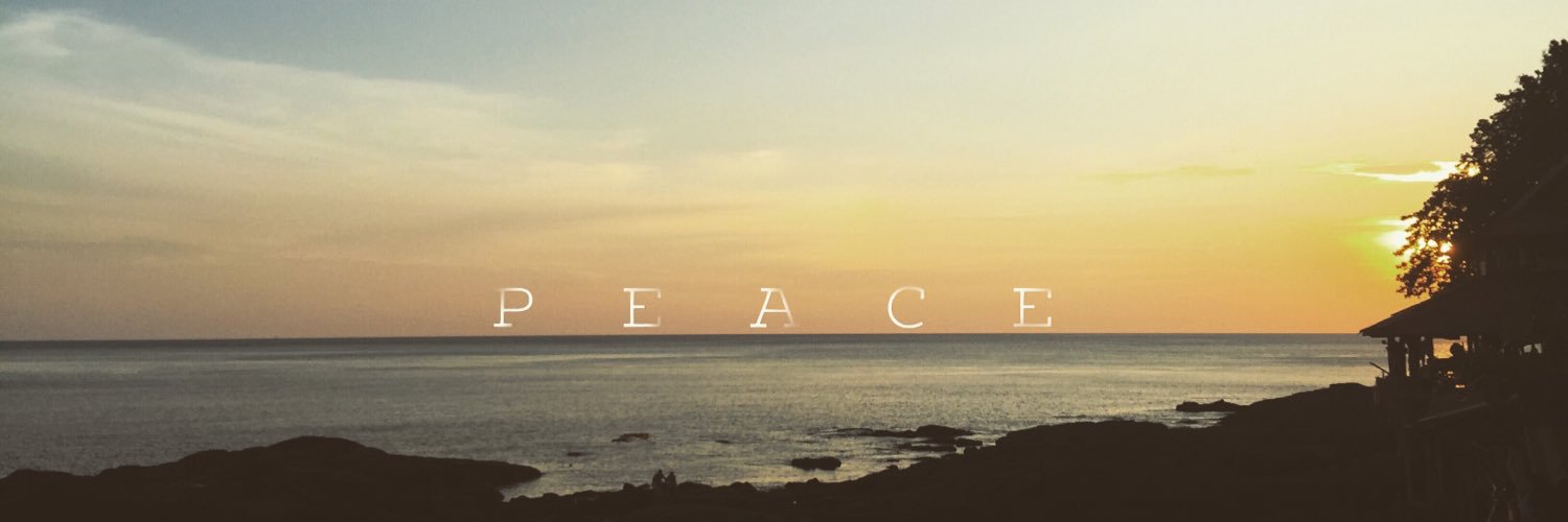 everalb's profile banner image