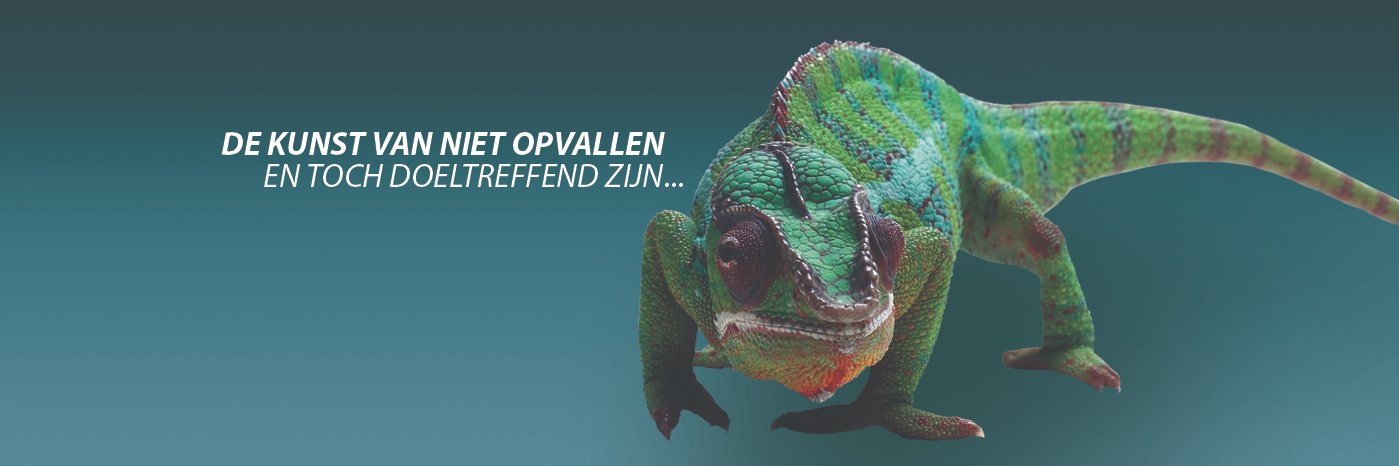BetaGuard's profile banner image