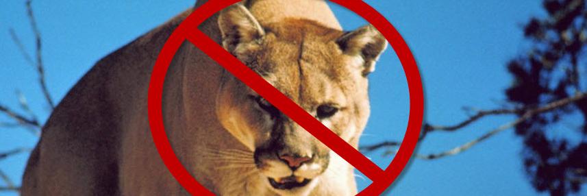 WildAnimalAlert's profile banner image