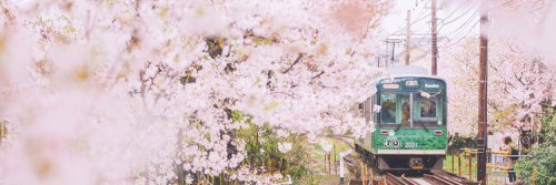 korogunim's profile banner image