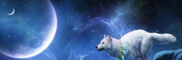 FWolf974's profile banner image