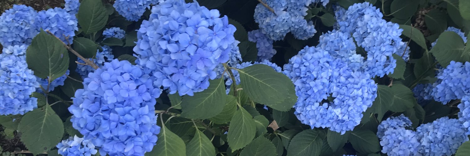 JCameronJoyce's profile banner image