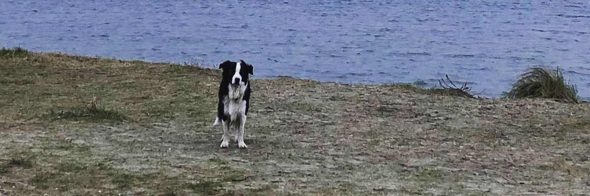 BiancaDerwort's profile banner image