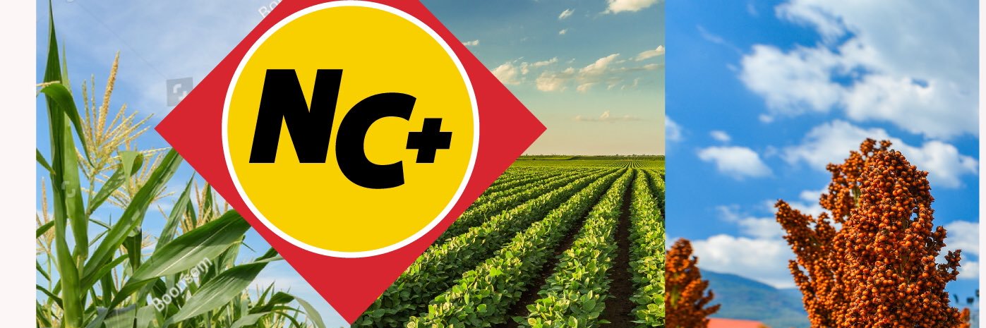 T_TSeed's profile banner image