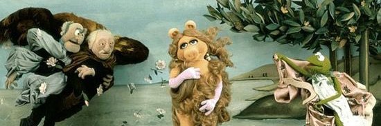 she_dont_fade's profile banner image