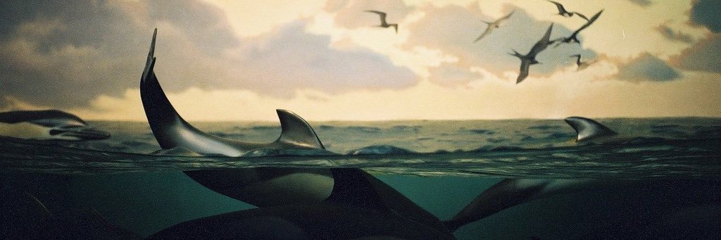 LeraAdova's profile banner image