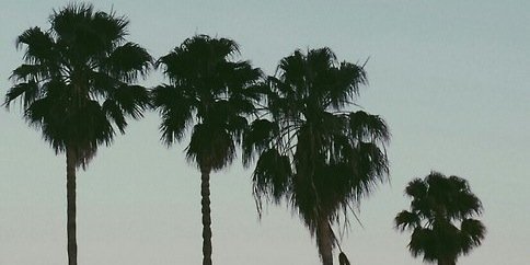 HellNamelessdog's profile banner image