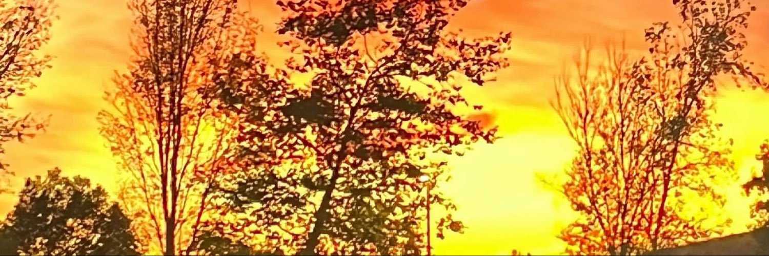 kbteach29's profile banner image
