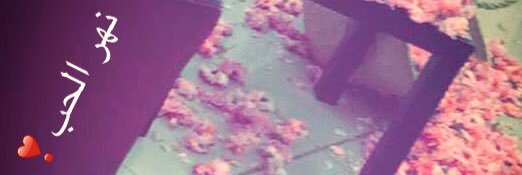 omsaud14272's profile banner image