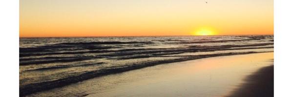 _alayna1_ Profile Banner