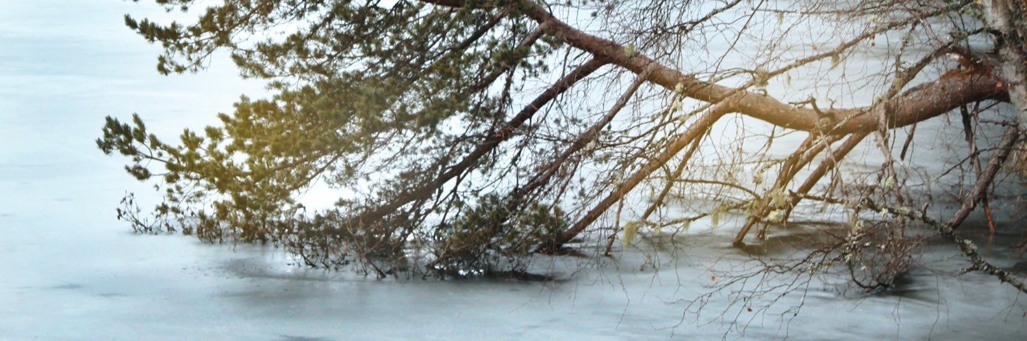 nshcuj's profile banner image