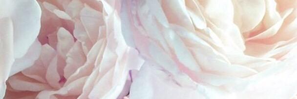 amystainer_'s profile banner image